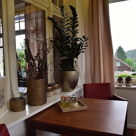 Hotel Rosenhof Braunlage Bed & Breakfast 3*